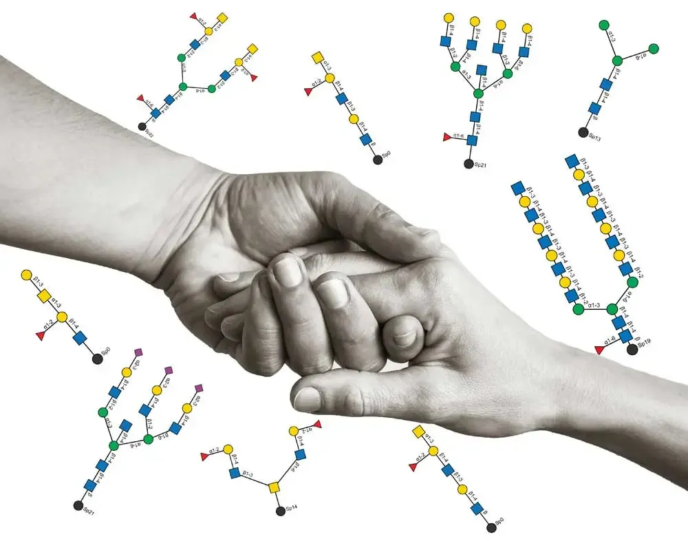 Lectins Image3 1000x786