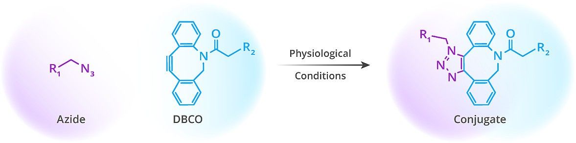 Spaac reaction