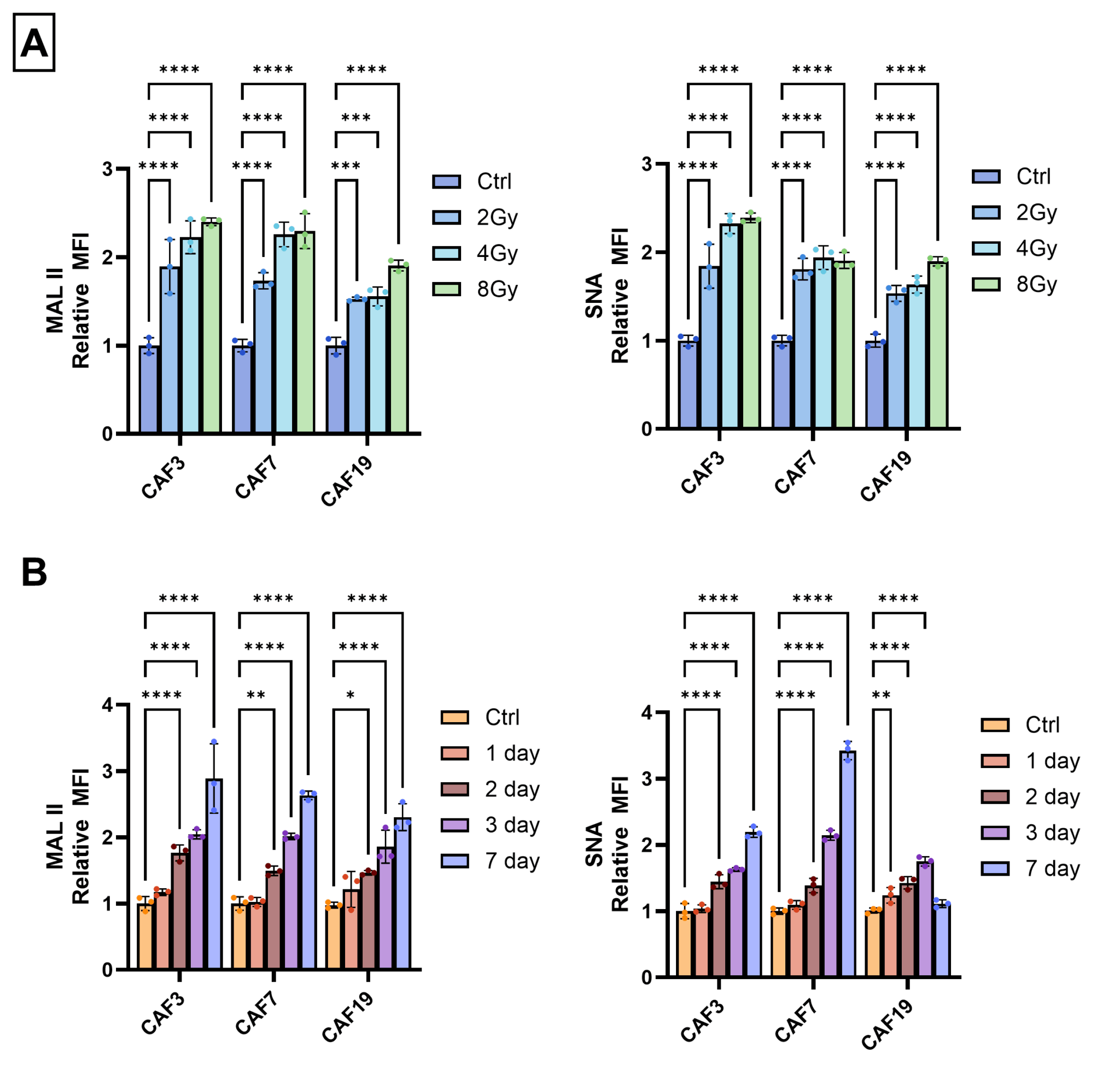Bar graphs quantifying 2,3- and 2,6-sialylation changes in pancreatic cancer-associated fibroblasts after ionizing radiation exposure, analyzed by two-way ANOVA